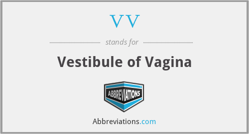 What does vestibule of the vagina stand for?